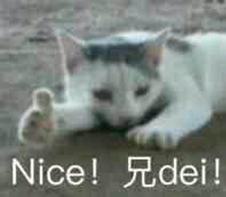 兄dei是什么意思什么梗 兄dei是兄弟嗎 網絡語兄dei是哪里方言