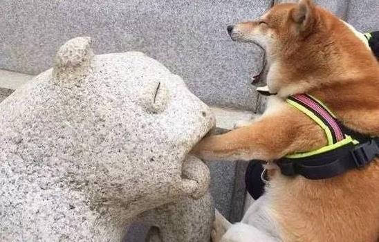 戲精是什么梗?戲精是夸人嗎 戲精的意思 戲精的表情包