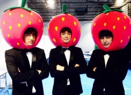 草莓男是什么意思 跳蚤草莓男 墻頭草莓男 空心草莓男性格