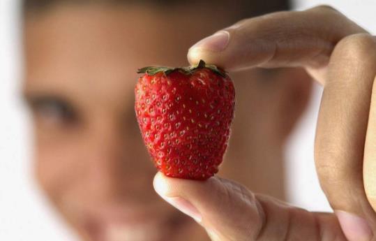 草莓男是什么意思 跳蚤草莓男 墻頭草莓男 空心草莓男性格