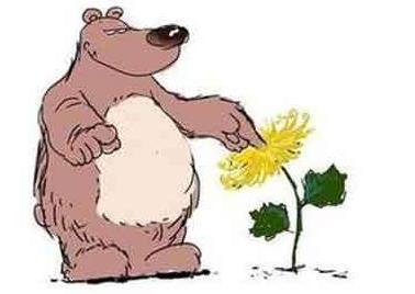 圖種熊菊是什么意思?發圖不發種 菊花被熊捅/萬人捅下一句