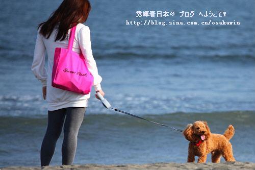 敗犬女一族是什么意思?敗犬女一族特征 成為敗犬的原因