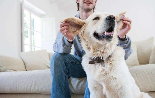 食肉男是什么意思?食肉男性格特征事業(yè)觀愛情觀 食肉男PK食草男
