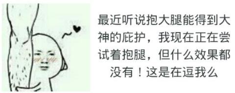 抱大腿是什么意思?抱大腿要趁早 抱大腿幽默回復(fù) 抱大腿表情包