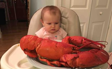 懵逼是什么意思?懵怎么讀?一臉懵逼 整個人都是懵的圖片