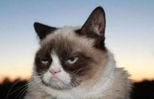 無語是什么意思?我無語了用英文怎么說 無語表情包