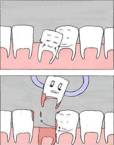 秀恩愛死得快是什么意思 為什么秀恩愛死得快 下一句是什么