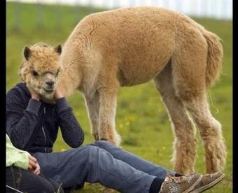 辣眼睛是什么意思 辣眼睛表情包圖片大全 看了辣眼睛的圖片