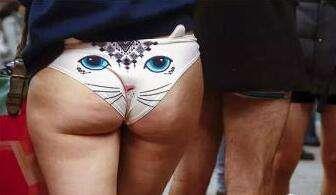 今天晚上把貓咪領回家