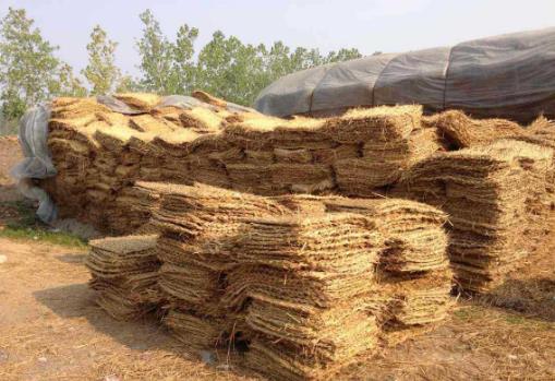 草包是什么意思?罵人草包是什么意思?