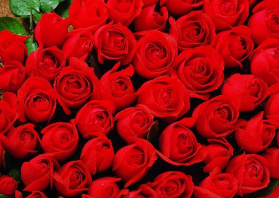 數字諧音大全、數字含義、阿拉伯數字諧音的意思