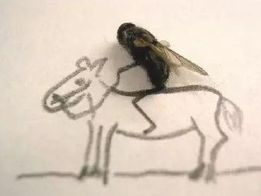 閑的蛋疼是什么意思?蛋疼菊花緊是什么意思?形容閑的沒事的歇后語