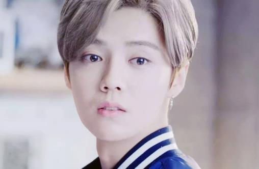 小鮮肉是什么意思?娛樂(lè)圈當(dāng)紅小鮮肉 中國(guó)最帥的小鮮肉明星排名