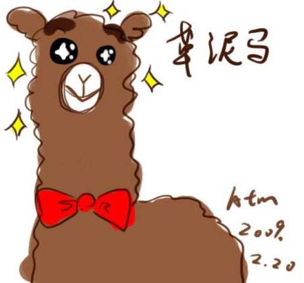 草泥馬是什么意思?羊駝為什么叫草泥馬?羊駝為什么叫神獸