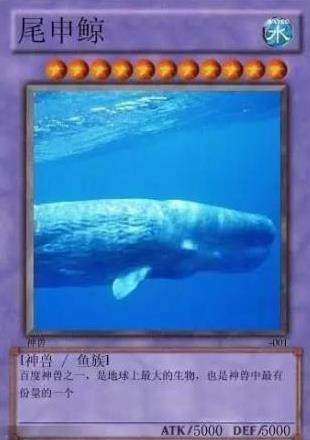 中國網絡十大神獸是什么意思?網絡十大神獸都是什么?神獸排行榜