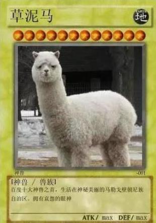 中國網絡十大神獸是什么意思?網絡十大神獸都是什么?神獸排行榜