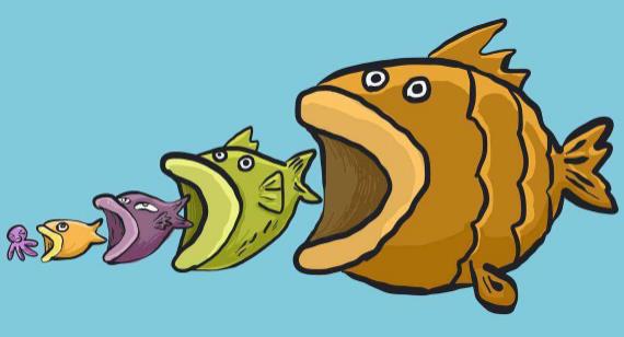 效應是什么意思?20個著名效應 78種經典效應定律大全