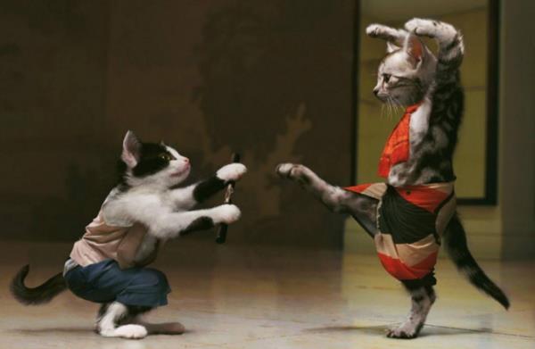 圣人婊是什么意思?圣人婊的表現特征 有一種人叫圣人婊全文