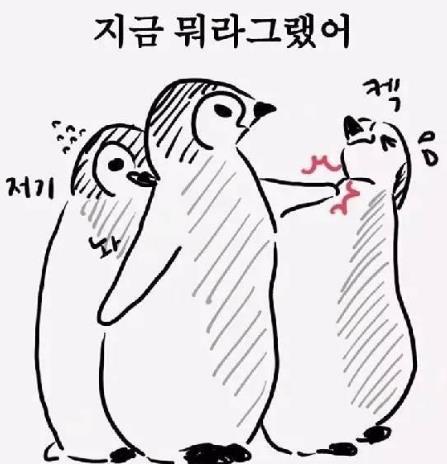 阿西吧是什么意思 阿西吧為什么在韓國是罵人話 韓語罵人的話中文讀法