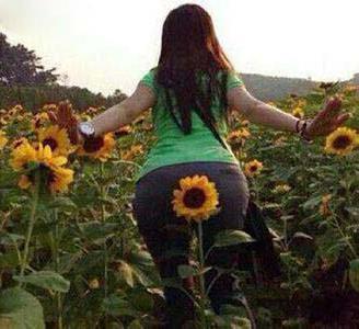 求bgm是什么意思?求bgm是什么梗?求爆肛門?真是蛋疼菊花緊啊