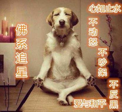 佛系是什么意思什么梗?佛系及衍生詞語刷屏 佛系和佛教有關系嗎