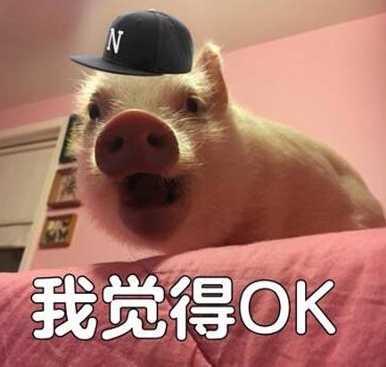ojbk/o幾把k是什么意思什么梗?ojbk到底是ok還是不ok?完全ojbk意思