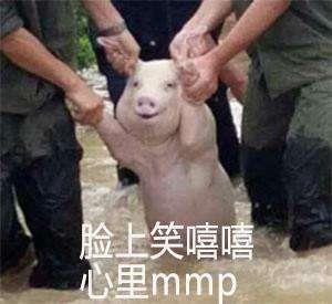 mmp是什么意思什么梗?mmp是什么的縮寫?mmp/媽賣批是罵人臟話嗎