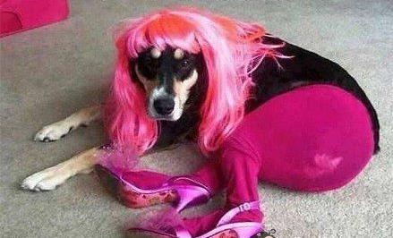 妖艷賤貨是什么意思什么梗?男人為什么都喜歡性感風騷妖艷賤貨?