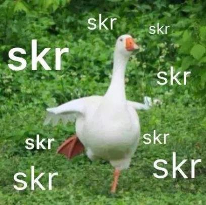 skr是什么意思什么梗?skr在嘻哈里怎么發音怎么讀 吳亦凡造熱詞skr