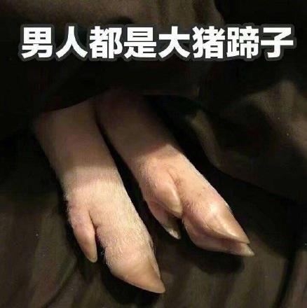 男人都是大豬蹄子是什么意思什么梗?女人吐槽男人沒有一個好東西