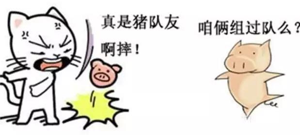 豬一樣的隊(duì)友是什么意思什么梗?豬隊(duì)友特點(diǎn) 諷刺豬一樣的隊(duì)友段子