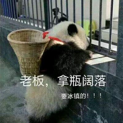 喝冰闊落是什么意思什么梗?冰闊落是哪的話?大哥喝冰闊落表情包走紅