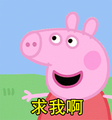 佩奇省是什么意思什么梗 小豬佩奇省是哪個省 海南佩奇省地圖