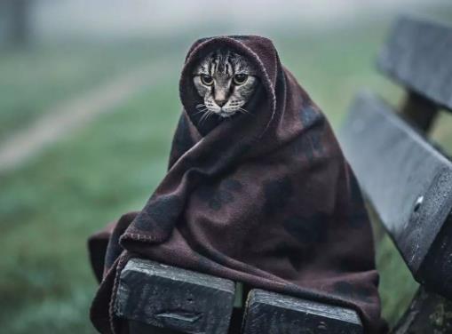 年度最佳50句經典反雞湯的負能量段子 句句扎心 看完讓你懷疑人生