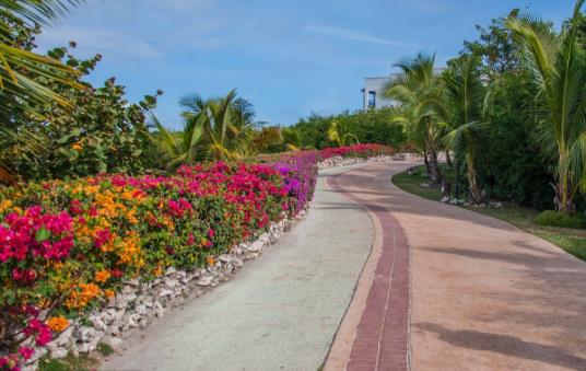 走花路是什么意思什么梗?常見飯圈用語走花路完整說法:一起走花路吧