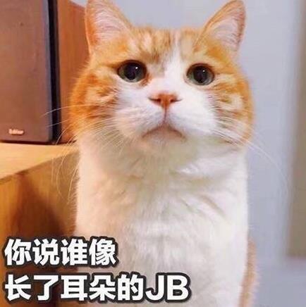 沙雕是什么意思什么梗?罵別人沙雕是什么意思?沙雕=傻屌