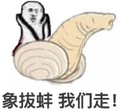 象拔蚌是什么意思什么梗?象拔蚌污內涵 世上最下流的海鮮形似男人丁丁