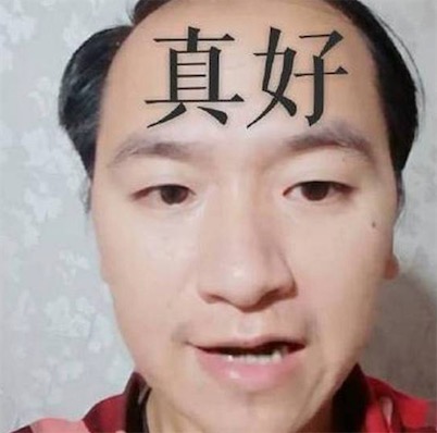 真好是什么意思什么梗 大家好 我是陸超 今天真好