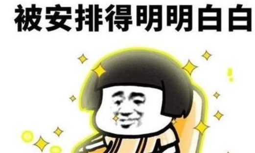安排是什么意思什么梗 安排上了 被安排的明明白白的含義