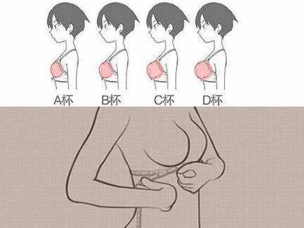 �ֱ���ʲô��˼���ֱ�abcdefg��ô�ִ�С�DƬ�������ֱ��ߴ猦�ձ�