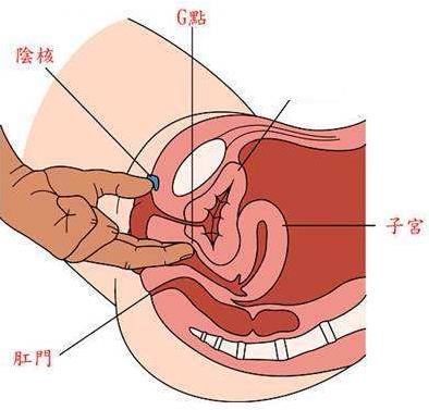 女生說丟了是什么意思?女人說丟了暗示什么(高潮隱語)