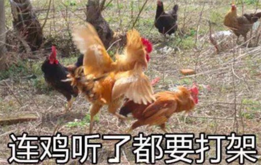 xxj是什么意思什么梗 xxj是小學(xué)雞的拼音首字母縮寫(xiě)