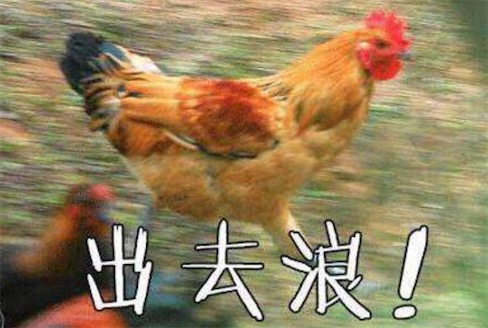 xxj是什么意思什么梗 xxj是小學(xué)雞的拼音首字母縮寫(xiě)