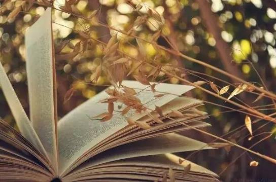 2018年微信最火的說說語句 低調是永恒的美德