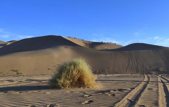 2018年微信最火的說說語句 低調是永恒的美德