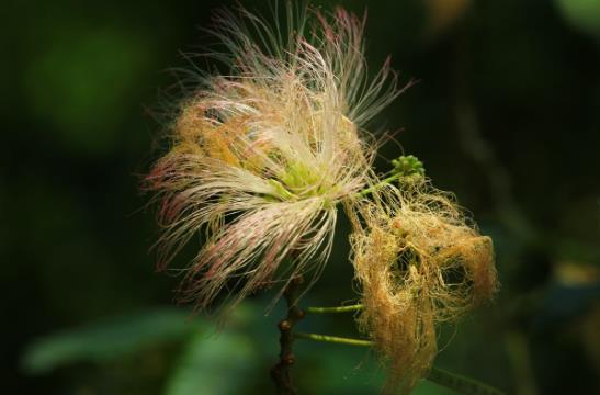 2018年微信最火的說說語句 低調是永恒的美德