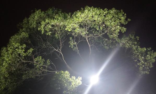 2018年微信最火的說說語句 低調是永恒的美德