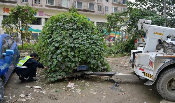 僵尸車是什么意思 城市里僵尸車放爛也不開走 產生的原因是什么