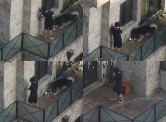 私生飯是什么意思什么梗 私生飯到底有多恐怖 理智追星莫極端