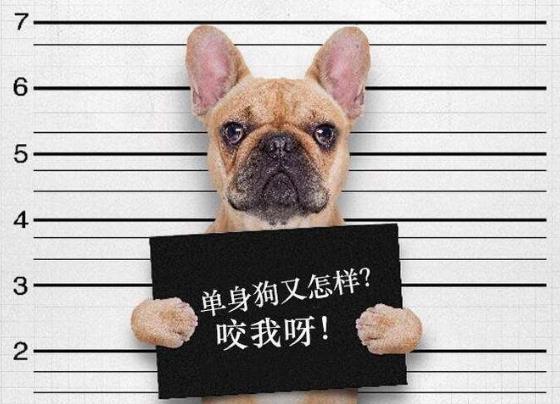 自殺式單身是什么意思什么梗 90后新詞匯“自殺式單身”有多無(wú)解